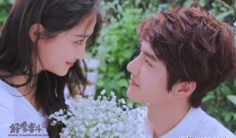 电视剧视频,情感纠葛与命运抉择